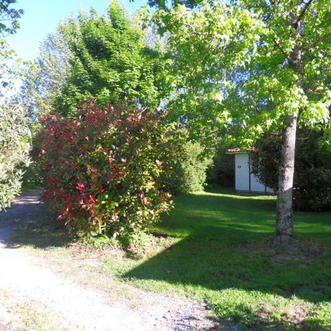 STAANPLAATS - Tent of caravan + 1 persoon (extra voertuig)