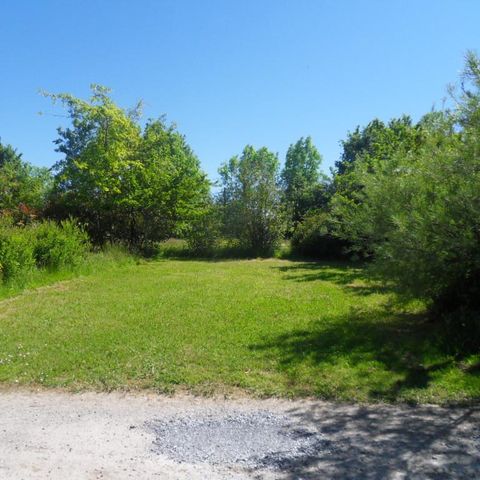 PARCELA - Tienda o caravana + 1 persona (vehículo adicional)