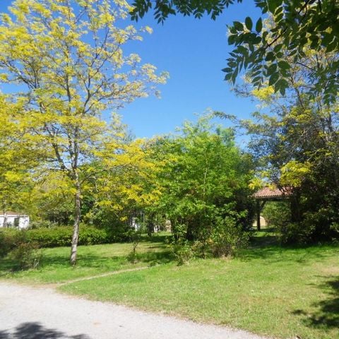 PARCELA - Tienda o caravana + 1 persona (vehículo adicional)