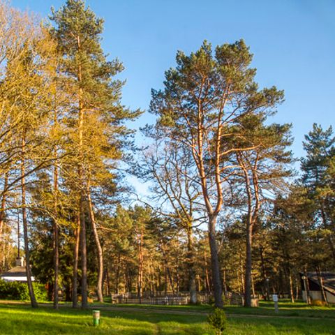 Camping Le Vianon Camping Le Vianon - Camping Correze - Image N°22