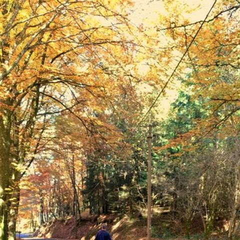 Camping Le Vianon Camping Le Vianon - Camping Correze - Image N°26