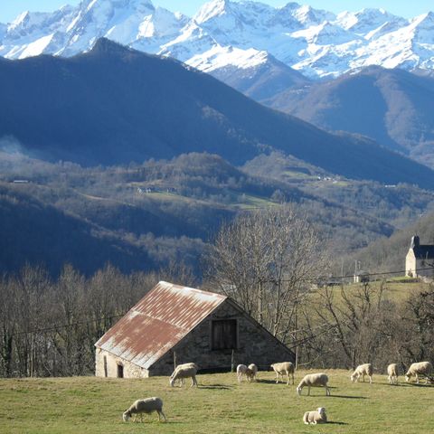 Camping Le Haut Salat Camping Le Haut Salat - Camping Ariege - Image N°16