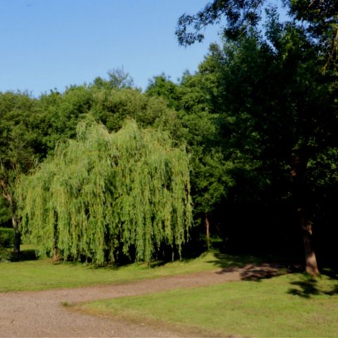 PARCELA - Sitio vacío