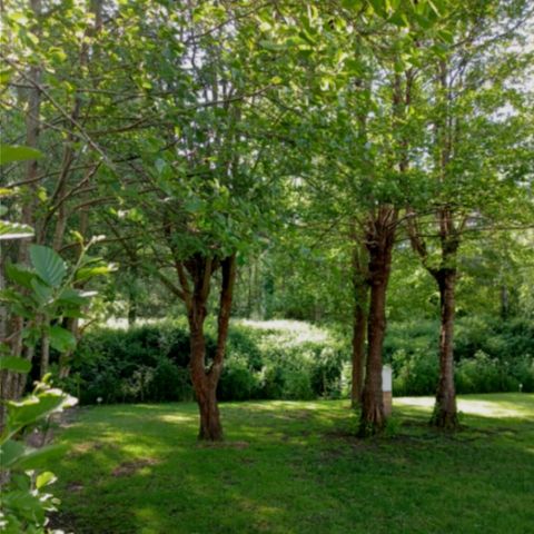 PARCELA - Sitio vacío