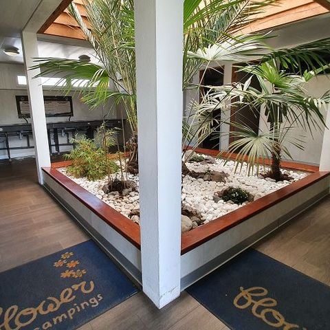 STAANPLAATS - Comfort PLUS pakket (standplaats +120m² /1 auto /elektriciteit 10A)