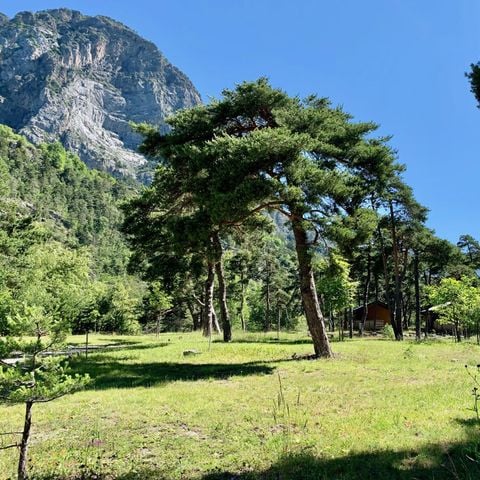 Stellplatz - Stellplatz ( Auto auf Stellplatz)