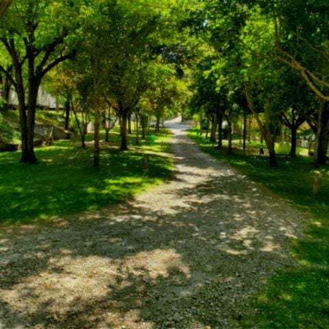 PARCELA - Parcela de camping