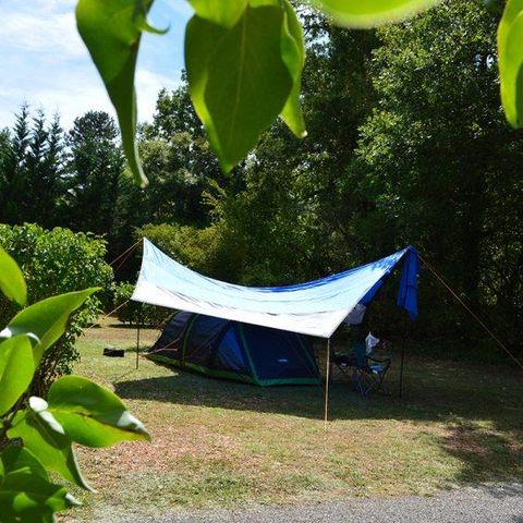 Kampeerplaats - Standplaats minimaal 110m², (huurauto optioneel)