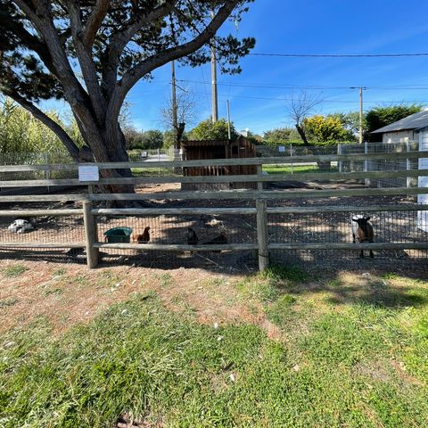 Camping Aqua 3 Masses - Camping Charente-Maritime - Image N°4