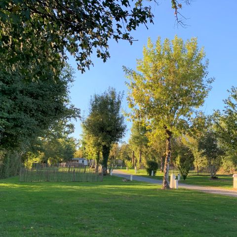 Stellplatz - Pauschale Confort : Stellplatz + 1 Auto + Zelt, Wohnwagen oder Wohnmobil + Strom