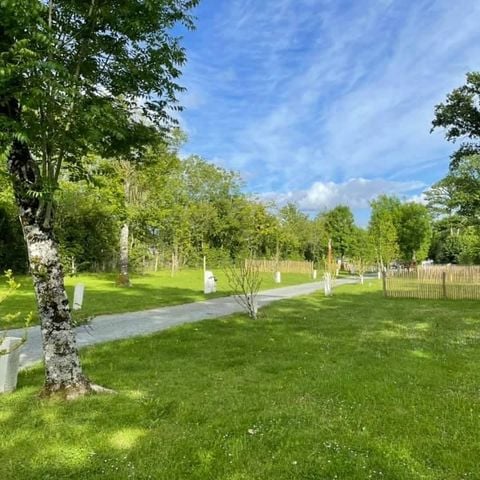 PLOT - Comfort package: Pitch + 1 car + tent, caravan or motor home + electricity