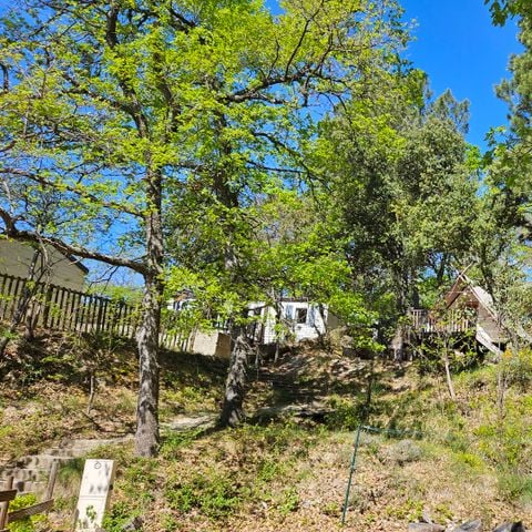 Tente en toile et en bois 3 personnes - Tente Trappeur Aventure - 1 pièce
