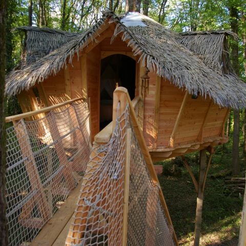 UNIEKE ACCOMMODATIE 4 personen - Boomhut - Eekhoorns
