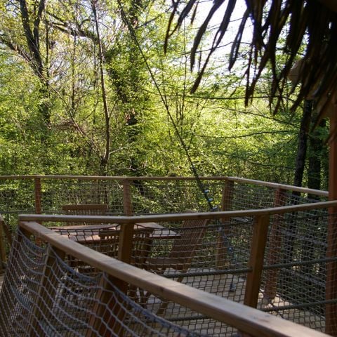 UNIEKE ACCOMMODATIE 4 personen - Boomhut - Eekhoorns