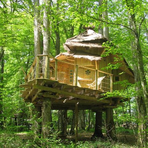 UNUSUAL ACCOMMODATION 5 people - Tree house - Cabane des Lutins