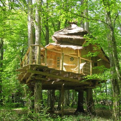 UNIEKE ACCOMMODATIE 5 personen - Boomhut - Cabane des Lutins