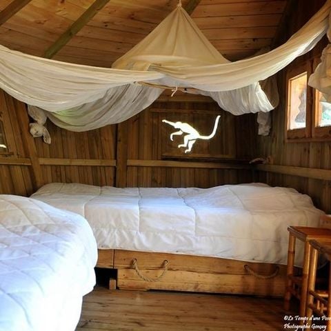 UNIEKE ACCOMMODATIE 6 personen - Boomhut - Ouistitis