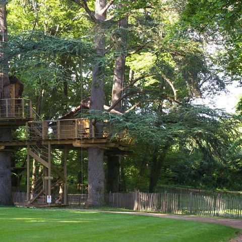 Alojamiento 6 personas - Casa del árbol - Ouistitis