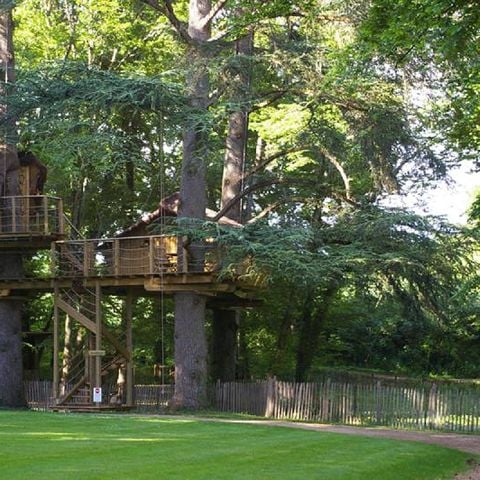 UNIEKE ACCOMMODATIE 6 personen - Boomhut - Ouistitis