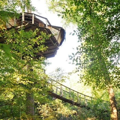 UNIEKE ACCOMMODATIE 2 personen - Amazonehut (vanaf 12 jaar)