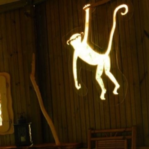 UNIEKE ACCOMMODATIE 4 personen - Chimpansee gezinshut (vanaf 2 jaar)