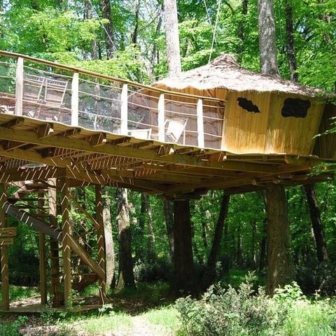 UNIEKE ACCOMMODATIE 4 personen - Chimpansee gezinshut (vanaf 2 jaar)