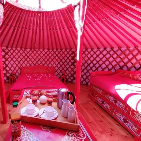 UNIEKE ACCOMMODATIE 4 personen - afgekeurde dieren