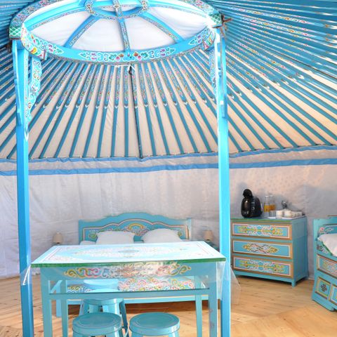 UNIEKE ACCOMMODATIE 4 personen - afgekeurde dieren