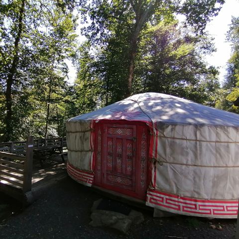 UNIEKE ACCOMMODATIE 4 personen - afgekeurde dieren