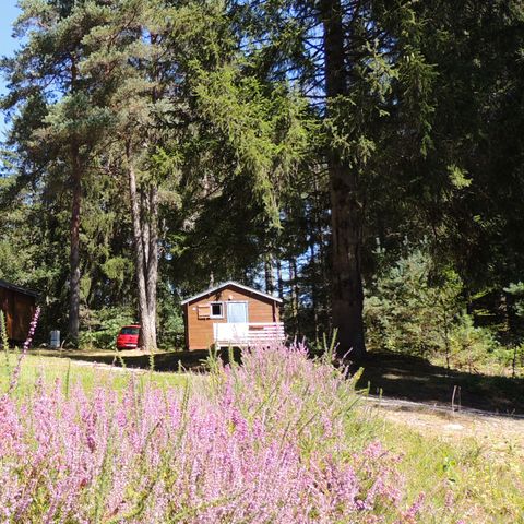 Chalet 4 persons - Cabanature 12m² - 1 bedroom (no bathroom)/small uncovered terrace