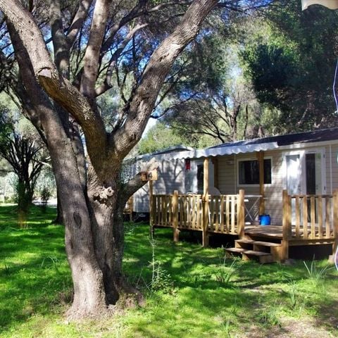 Mobile home 6 persons - 3-bedroom cottage