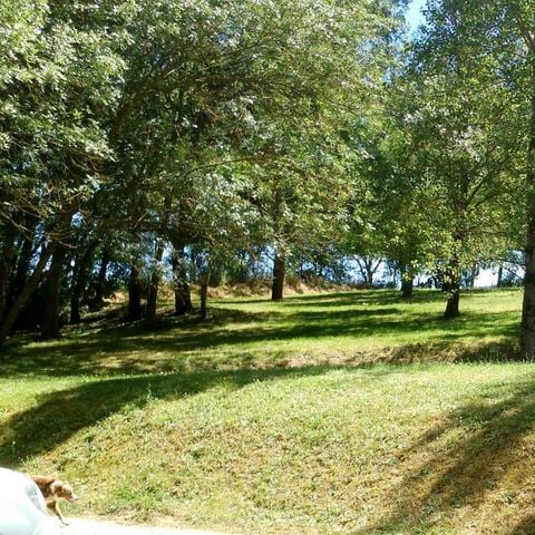 PLOT - Privilege package (1 tent, caravan or camper / 1 car / electricity 6A) 110m².