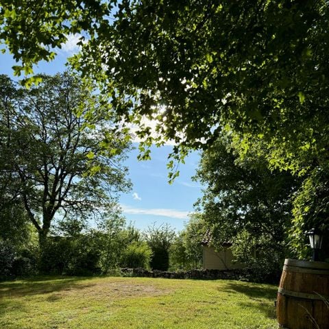 PLOT - Premium pitch with 10A electricity