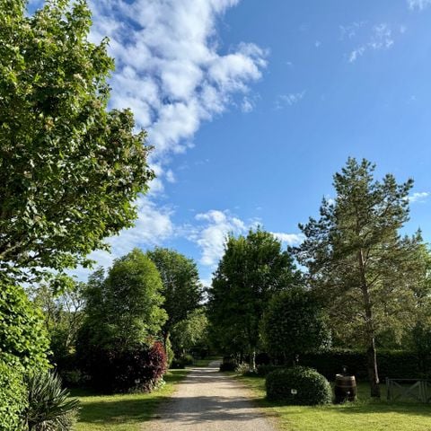 Stellplatz - Premium-Stellplatz mit 10A Strom