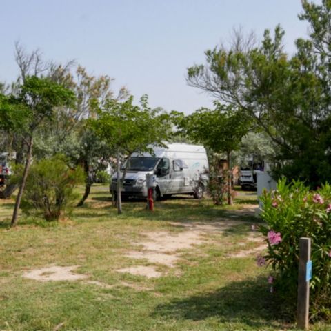 Stellplatz - Stellplatz mit Strom