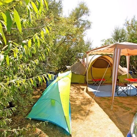 PARCELA - Parcela con electricidad