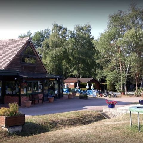 Camping Parc de Nibelle Camping Parc de Nibelle - Camping Loiret - Image N°7