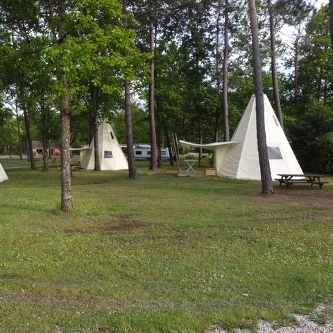 Camping Parc de Nibelle Camping Parc de Nibelle - Camping Loiret - Image N°14