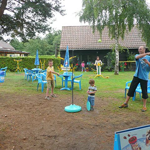 Camping Parc de Nibelle Camping Parc de Nibelle - Camping Loiret - Image N°6