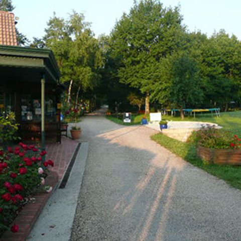 Camping Parc de Nibelle Camping Parc de Nibelle - Camping Loiret - Image N°10