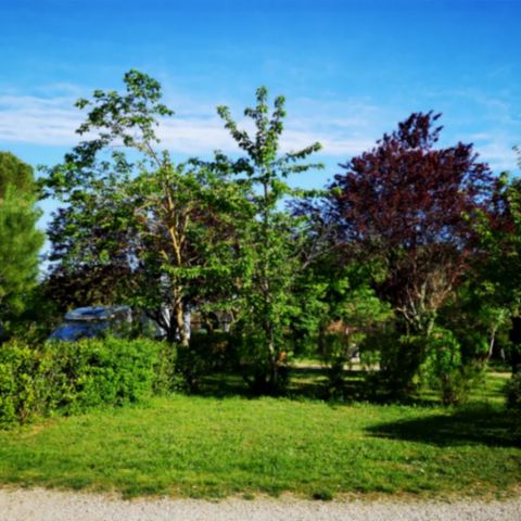 PLOT - Camping Pitch