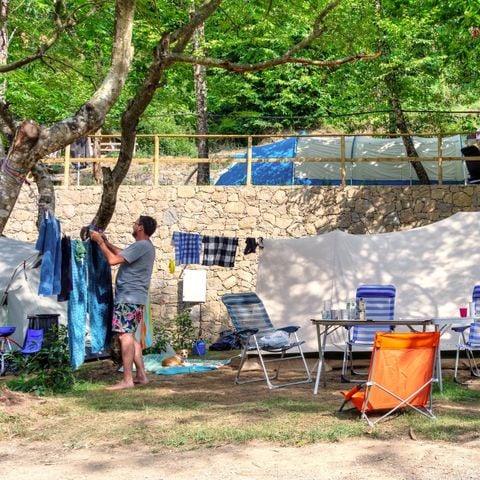 Stellplatz - GRÜN FÜR ZELT/FALTZELT O CAMPER/WOHNWAGEN
