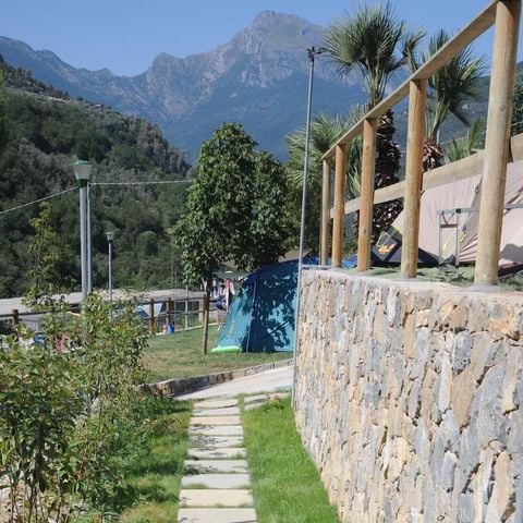 Pitch - YELLOW FOR SMALL AND MEDIUM TENTS