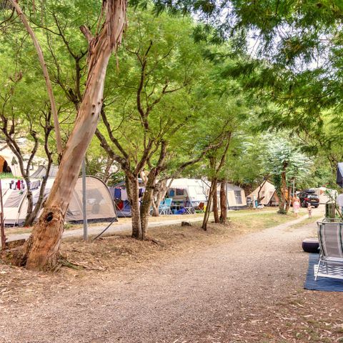 Pitch - RED FOR LARGE TENT/FOLDING TENT