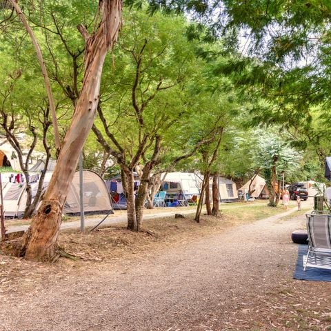 PLOT - RED FOR LARGE TENT/FOLDING TENT