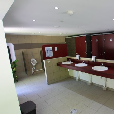 Pitch - 1 car + tent, caravan or motor home