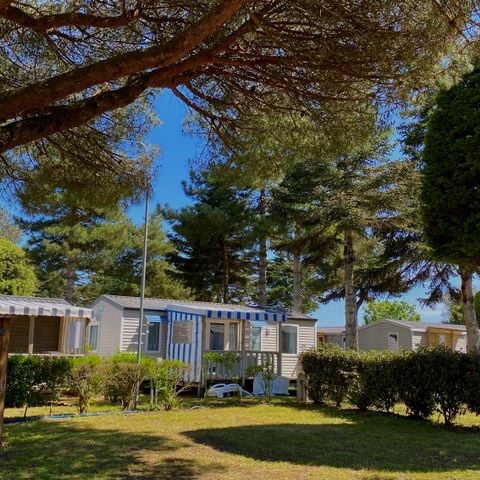 Emplacement - 80-100m² avec pack - VIP