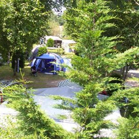Kampeerplaats - Standplaats + 1 auto + elektriciteit 1/6 pers