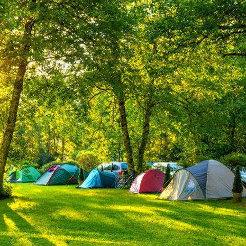 STAANPLAATS - Trekkerspakket (te voet of met de fiets / 1 tent zonder elektriciteit)