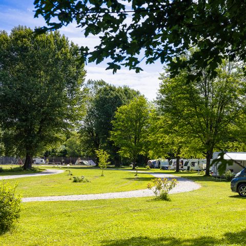 STAANPLAATS - (2 Pers / 1 tent, caravan of camper / 1 auto)